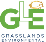 grasslands environmental web